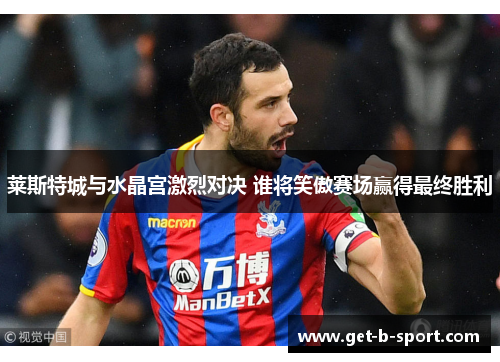 莱斯特城与水晶宫激烈对决 谁将笑傲赛场赢得最终胜利